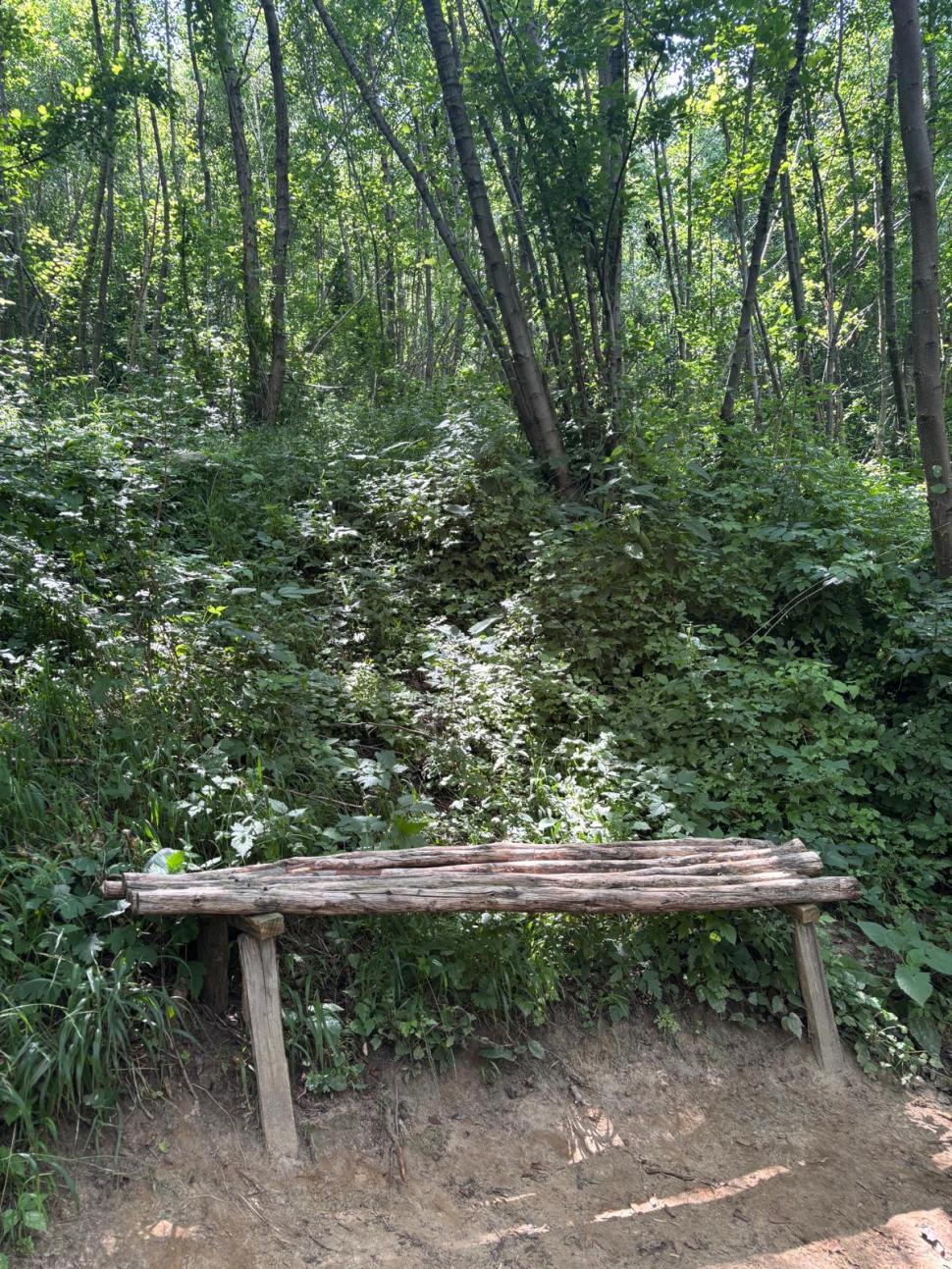 Am fost la „Babele de la Ulmet”. Ce sunt trovanții, unici în lume: Cum ajungi la „pietrele vii”, cât e biletul și ce spun legendele 1088290