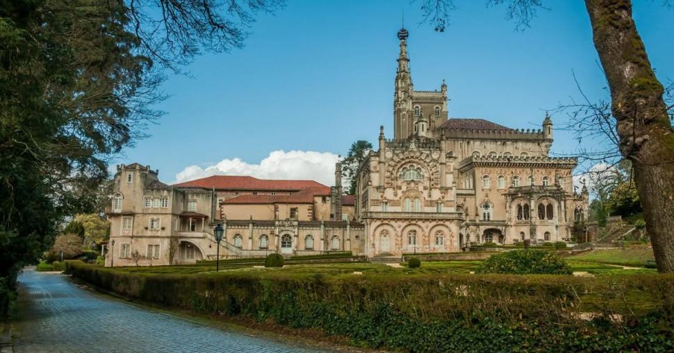 Există doar patru „păduri terapeutice” certificate în lume: Una din ele se află acum în Portugalia. Celelalte trei sunt tot în Europa 1088223