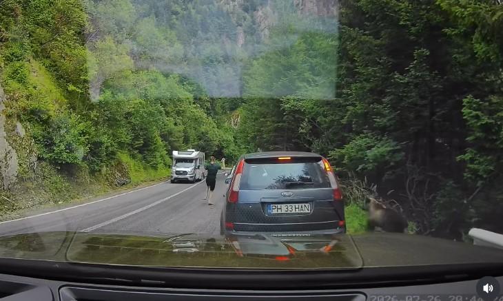 Scene ireale pe Transfăgărășan. Un turist ocupat cu telefonul n-a văzut că un urs era în spatele lui și îi adulmeca picioarele 1088588