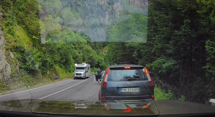 Scene ireale pe Transfăgărășan. Un turist ocupat cu telefonul n-a văzut că un urs era în spatele lui și îi adulmeca picioarele 1088589