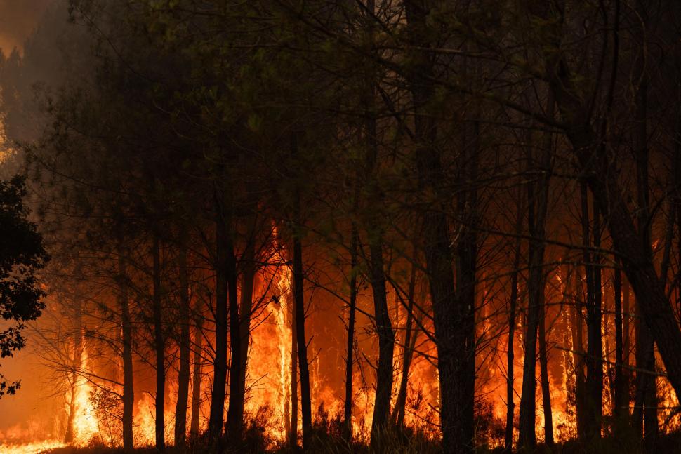 "A fost ca la Pompeii": Europa, devastată de incendii și lovită de valuri de căldură fără precedent. Experții spun că e doar începutul 1088942