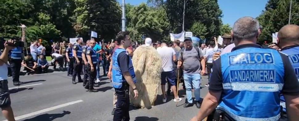 Instigatori printre fermierii care protestează în Piața Victoriei. O parte dintre protestatari refuză să plece acasă 1089111
