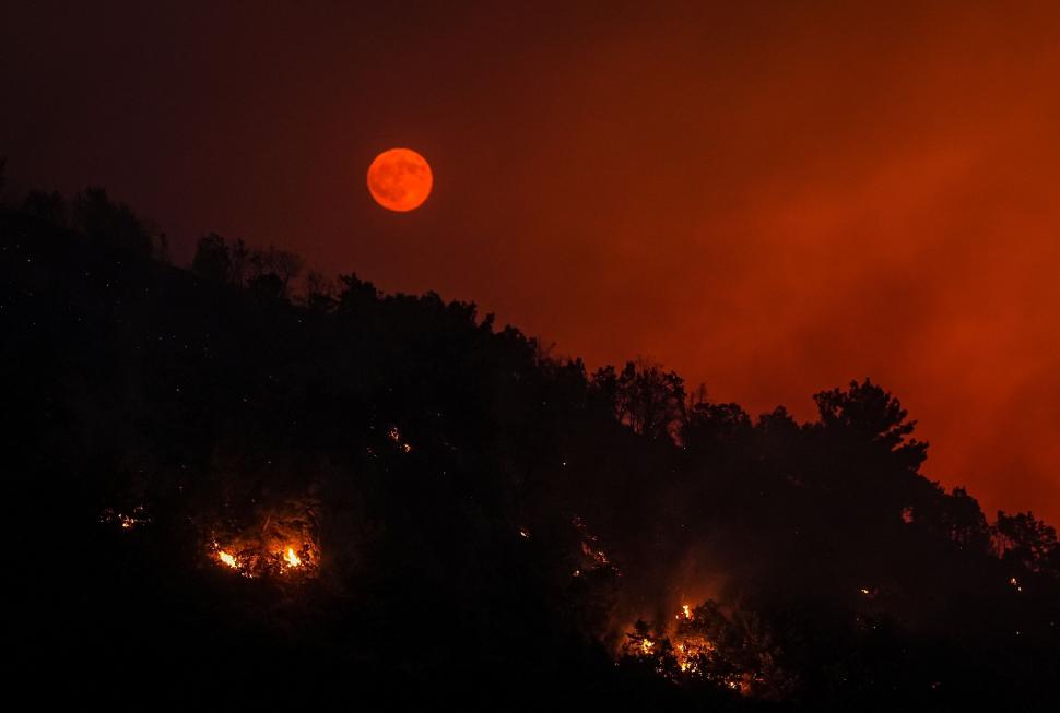 Incendiile pârjolesc Europa. Noi imagini cu dezastrul lăsat în urmă de flăcări în Spania şi Franţa. Grecia, Portugalia, în alertă 1089317