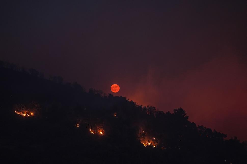 Incendiile pârjolesc Europa. Noi imagini cu dezastrul lăsat în urmă de flăcări în Spania şi Franţa. Grecia, Portugalia, în alertă 1089320