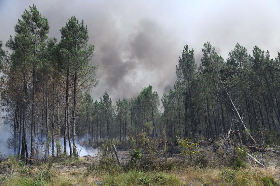 Incendiile pârjolesc Europa. Noi imagini cu dezastrul lăsat în urmă de flăcări în Spania şi Franţa. Grecia, Portugalia, în alertă 1089330
