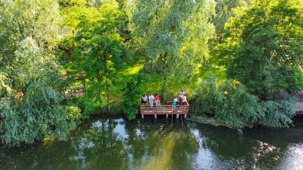 O insulă privată din Delta Dunării se vinde iar prețul tocmai s-a prăbușit. Are locuri de cazare, restaurant și piscină 1089041