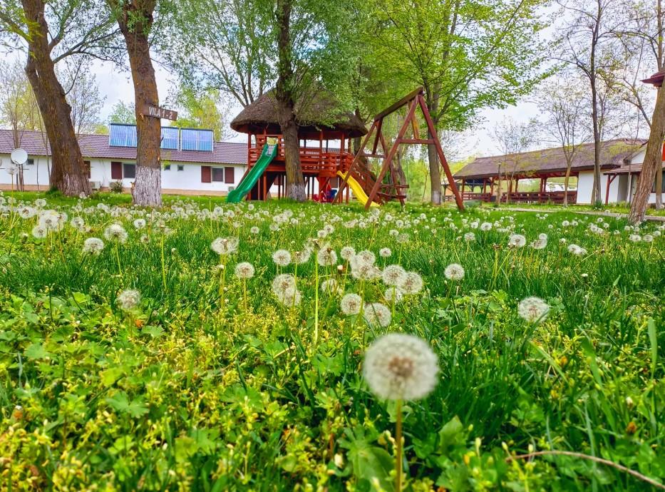 O insulă privată din Delta Dunării se vinde iar prețul tocmai s-a prăbușit. Are locuri de cazare, restaurant și piscină 1089044
