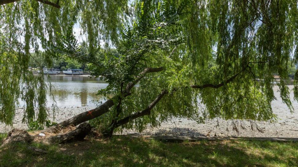 Ciprian Ciucu a anunțat ce se va schimba mai exact în Parcul Herăstrău. Regenerarea a început cu malurile lacului  1089485