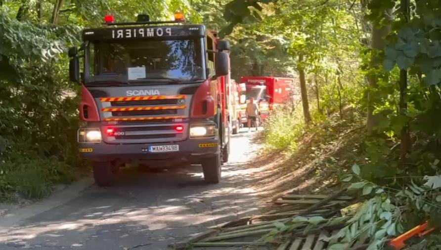 Plan Roșu de Intervenție în Argeș. Un microbuz cu 16 persoane s-a izbit de un copac. Surse: În vehicul ar fi juniori de la Dinamo  1089418