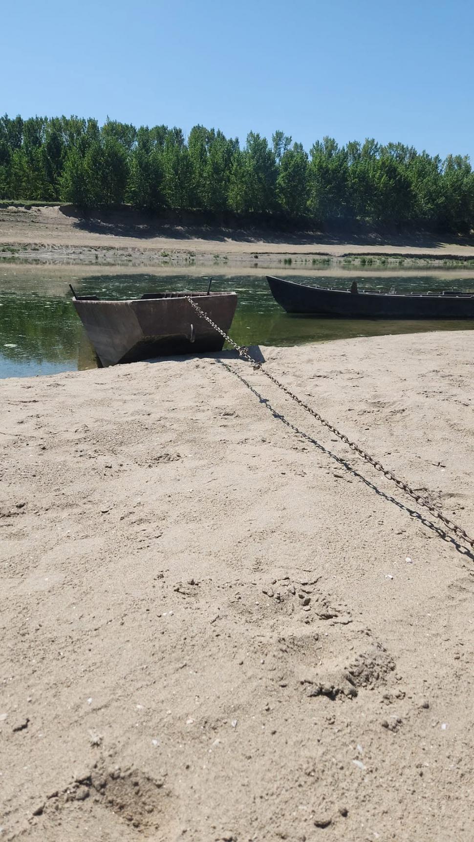 La pas, prin mijlocul Dunării: Pe brațul Borcea, apele s-au retras atât de mult încât fluviul poate fi traversat fără barcă 1089741
