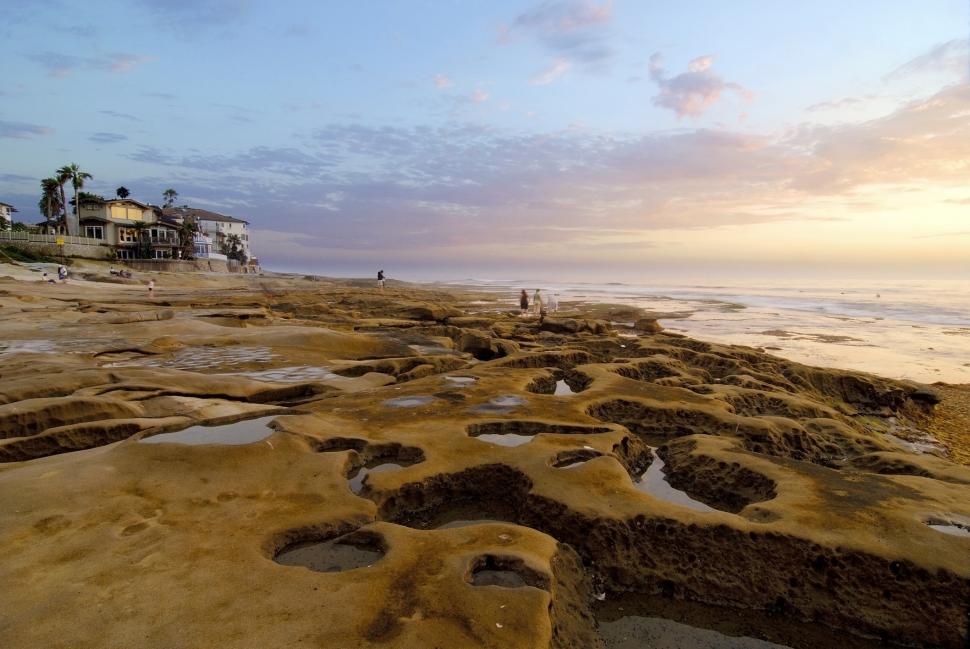 Plaja care se transformă în sute de acvarii naturale: „Piscinele” ascunse apar doar când oceanul se retrage. Cum arată La Jolla 1090634