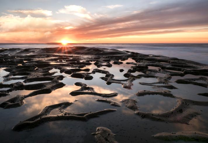 Plaja care se transformă în sute de acvarii naturale: „Piscinele” ascunse apar doar când oceanul se retrage. Cum arată La Jolla 1090638