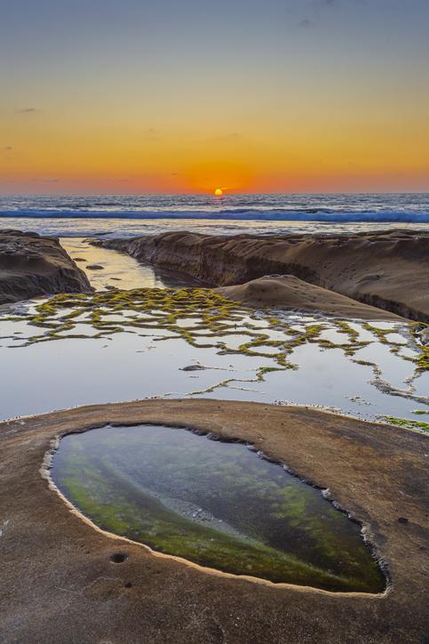 Plaja care se transformă în sute de acvarii naturale: „Piscinele” ascunse apar doar când oceanul se retrage. Cum arată La Jolla 1090639