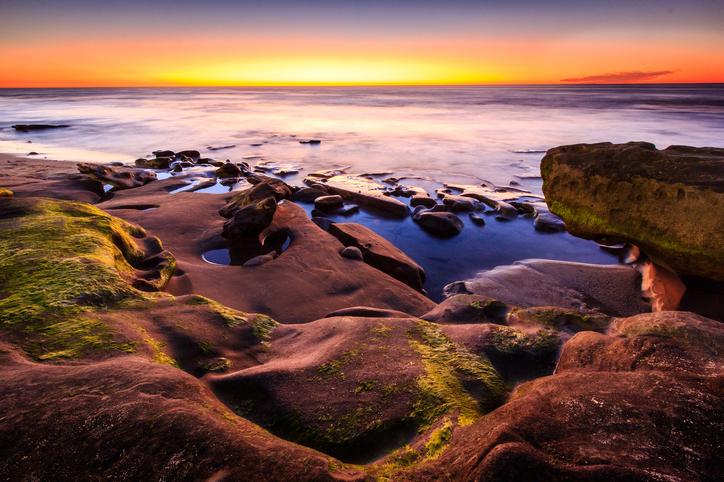 Plaja care se transformă în sute de acvarii naturale: „Piscinele” ascunse apar doar când oceanul se retrage. Cum arată La Jolla 1090641