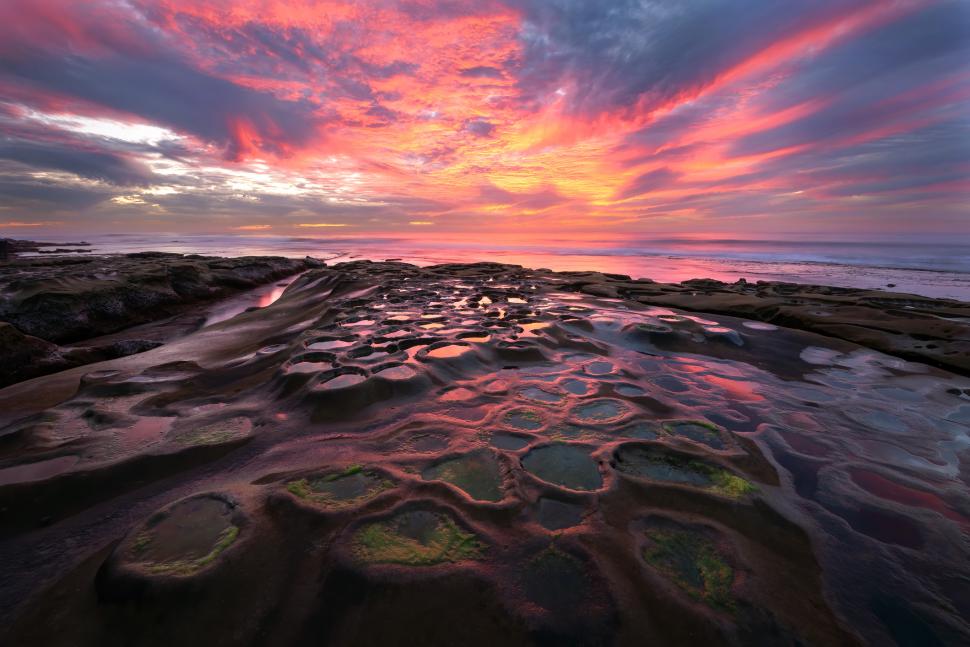 Plaja care se transformă în sute de acvarii naturale: „Piscinele” ascunse apar doar când oceanul se retrage. Cum arată La Jolla 1090642