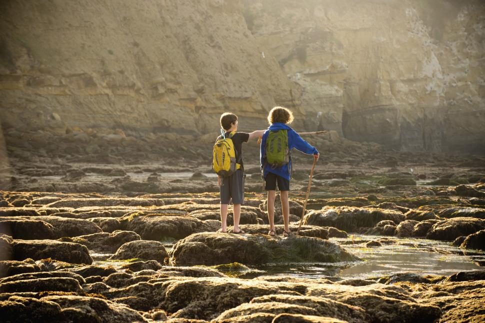 Plaja care se transformă în sute de acvarii naturale: „Piscinele” ascunse apar doar când oceanul se retrage. Cum arată La Jolla 1090644