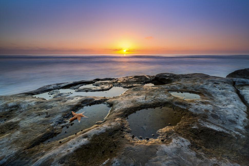 Plaja care se transformă în sute de acvarii naturale: „Piscinele” ascunse apar doar când oceanul se retrage. Cum arată La Jolla 1090645