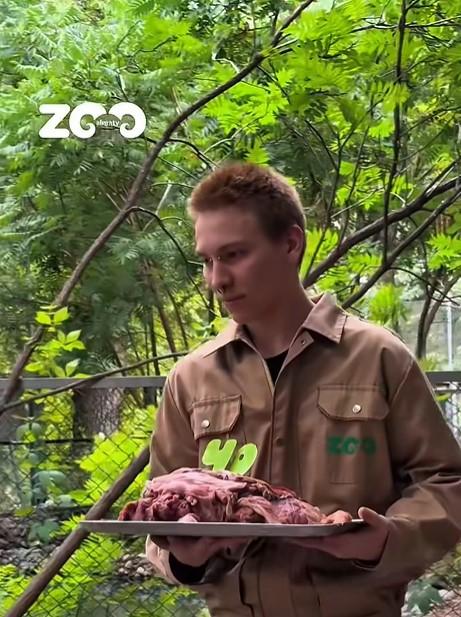 Un crocodil a primit un tort din carne de vită de ziua lui. Fidel a împlinit 40 de ani și este la un zoo din Kazahstan 1090724