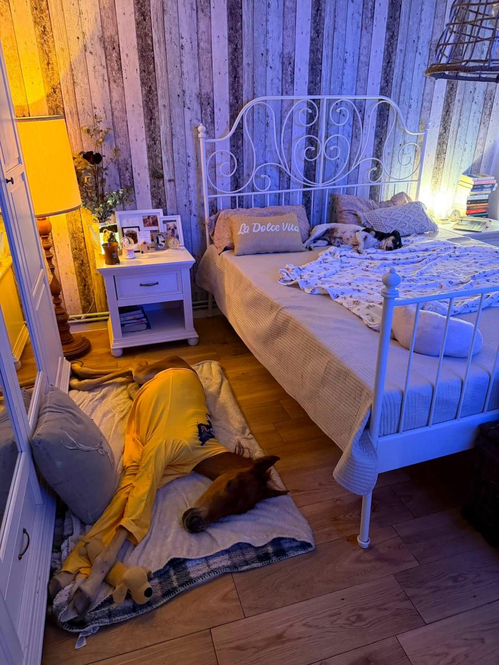 Marlie, cel mai alintat mânz de pe net: Imaginea cu căluțul orfan din Sălaj care doarme în pijama ca un copil a înduioșat mii de români 1091302