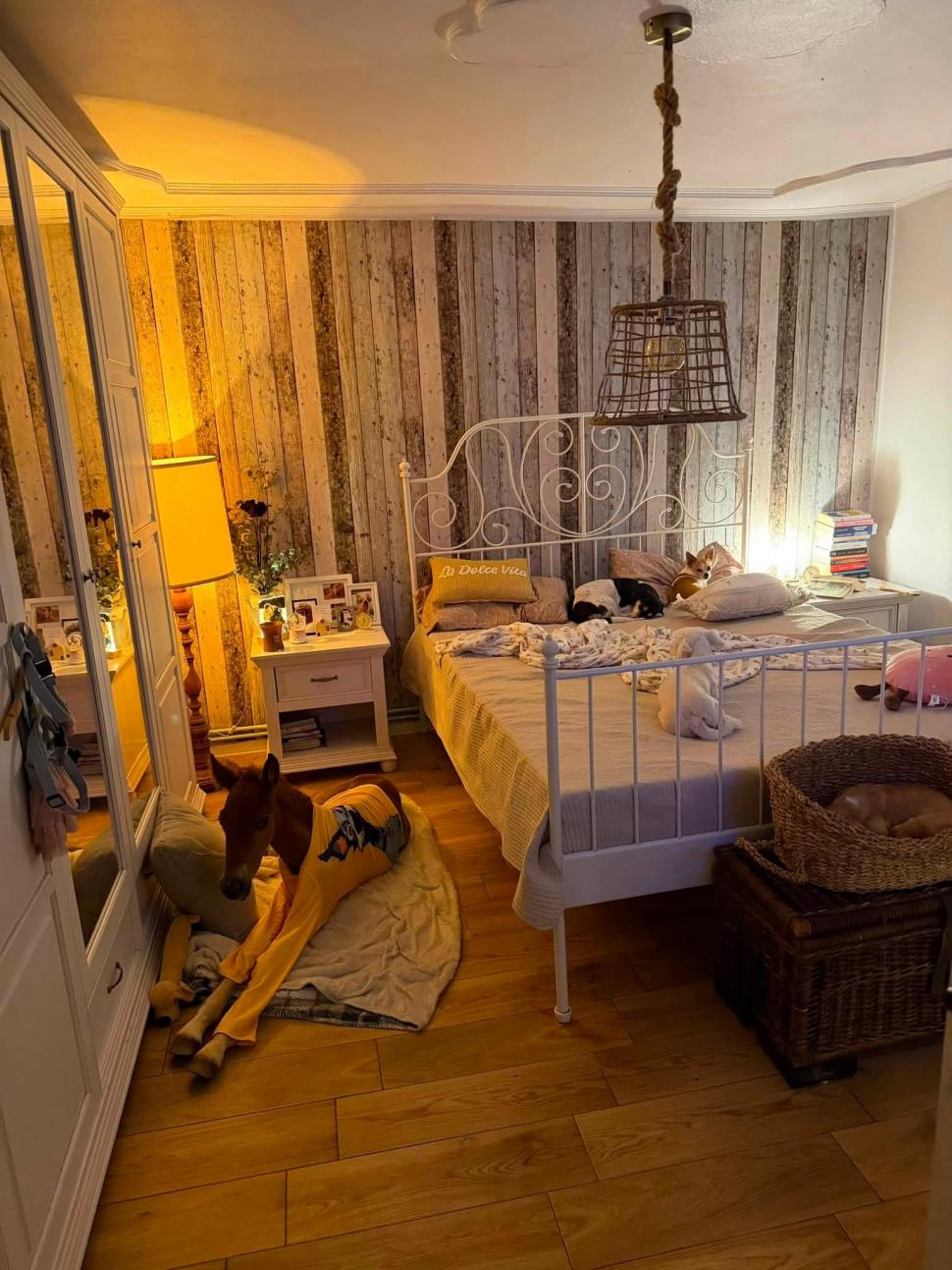 Marlie, cel mai alintat mânz de pe net: Imaginea cu căluțul orfan din Sălaj care doarme în pijama ca un copil a înduioșat mii de români 1091325
