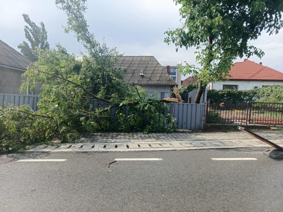 Vremea s-a schimbat radical în vestul țării. În Maramureș, o furtună de 15 minute a doborât copaci și a luat pe sus tarabe 1091209