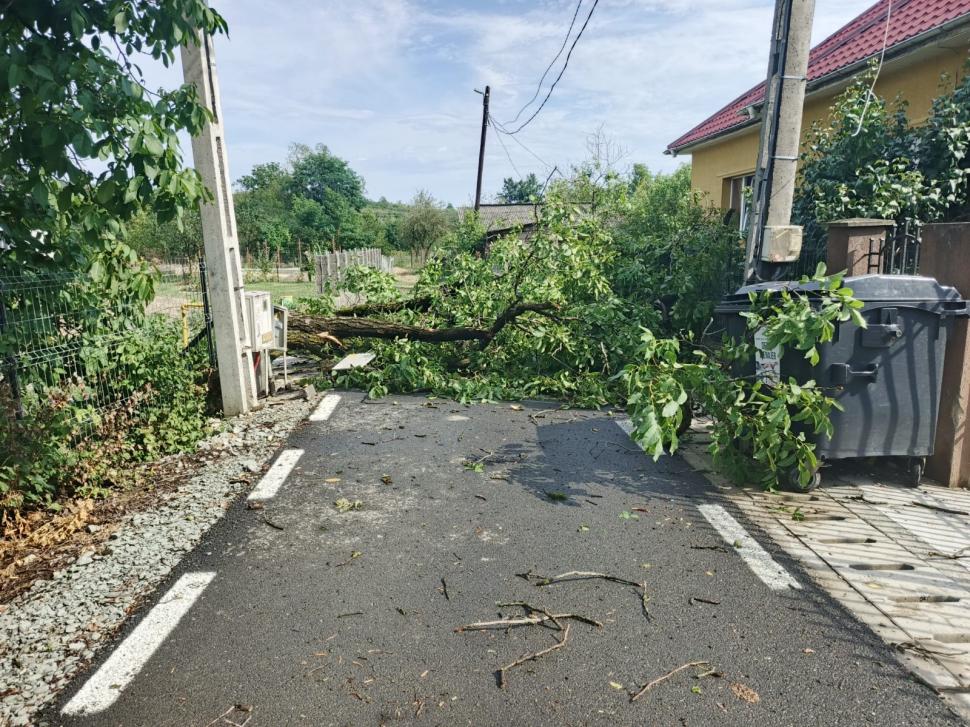 Vremea s-a schimbat radical în vestul țării. În Maramureș, o furtună de 15 minute a doborât copaci și a luat pe sus tarabe 1091210