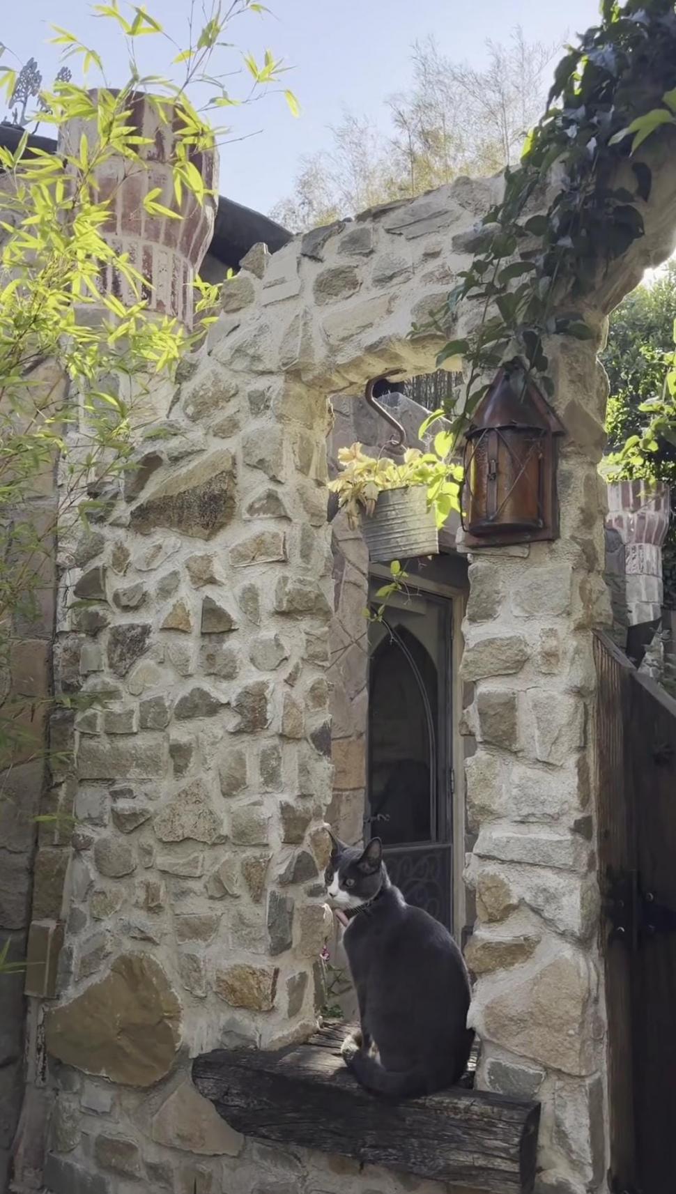 A moștenit un castel din 1931 de la mama lui şi a început să-l restaureze. Transformarea este urmărită de milioane de oameni 1091468