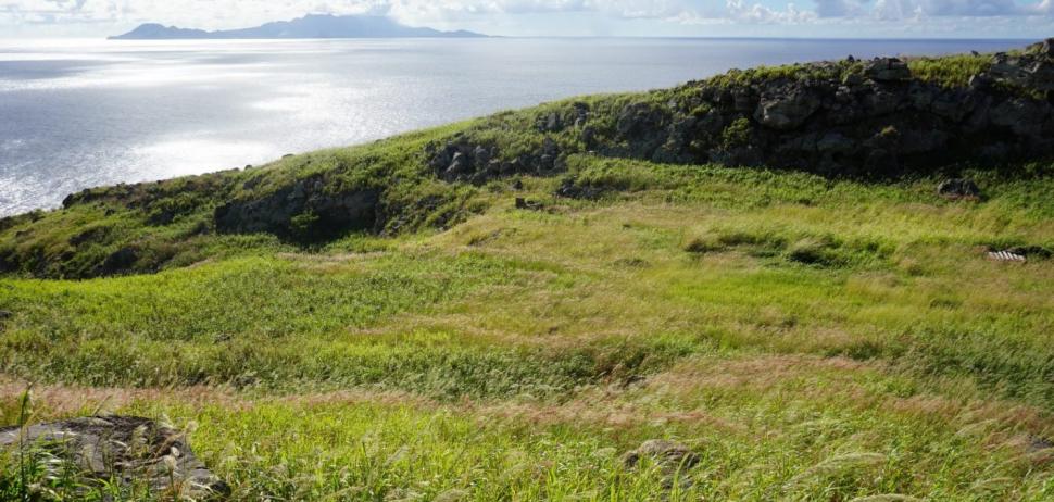 În 2017, Antigua și Barbuda au eliminat șobolanii din Redonda. Până în 2023, vegetația a crescut cu 2.000% pe insulă 1091860