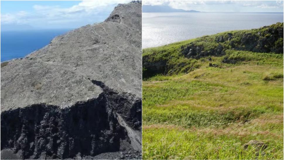 În 2017, Antigua și Barbuda au eliminat șobolanii din Redonda. Până în 2023, vegetația a crescut cu 2.000% pe insulă 1091862