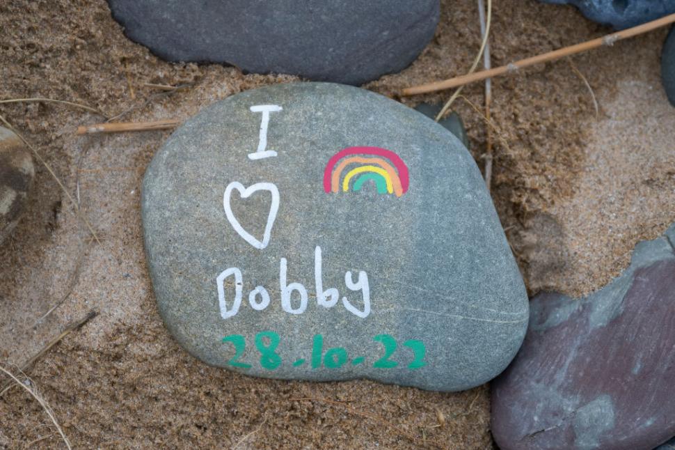 „Mormântul lui Dobby” a oprit traseul unui proiect energetic de 430 de milioane de lire. Fanii Harry Potter au dat „sute de telefoane” 1091776