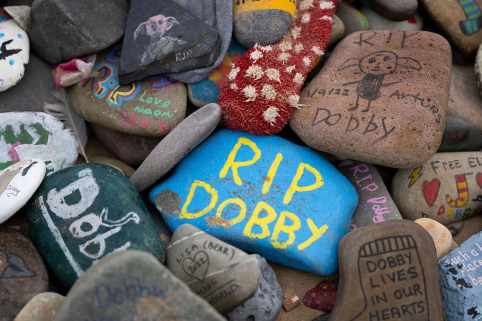 „Mormântul lui Dobby” a oprit traseul unui proiect energetic de 430 de milioane de lire. Fanii Harry Potter au dat „sute de telefoane” 1091782