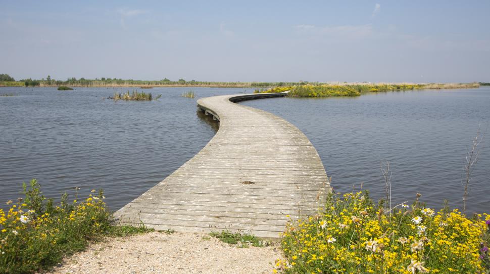 Olanda a folosit 37.000.000 de tone de sedimente dintr-un lac pentru a construi insule. Habitatele artificiale atrag acum mii de păsări 1092922
