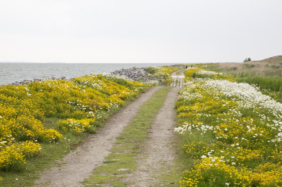 Olanda a folosit 37.000.000 de tone de sedimente dintr-un lac pentru a construi insule. Habitatele artificiale atrag acum mii de păsări 1092924