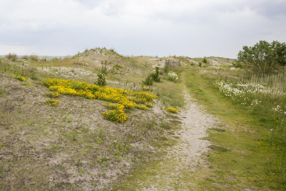 Olanda a folosit 37.000.000 de tone de sedimente dintr-un lac pentru a construi insule. Habitatele artificiale atrag acum mii de păsări 1092925
