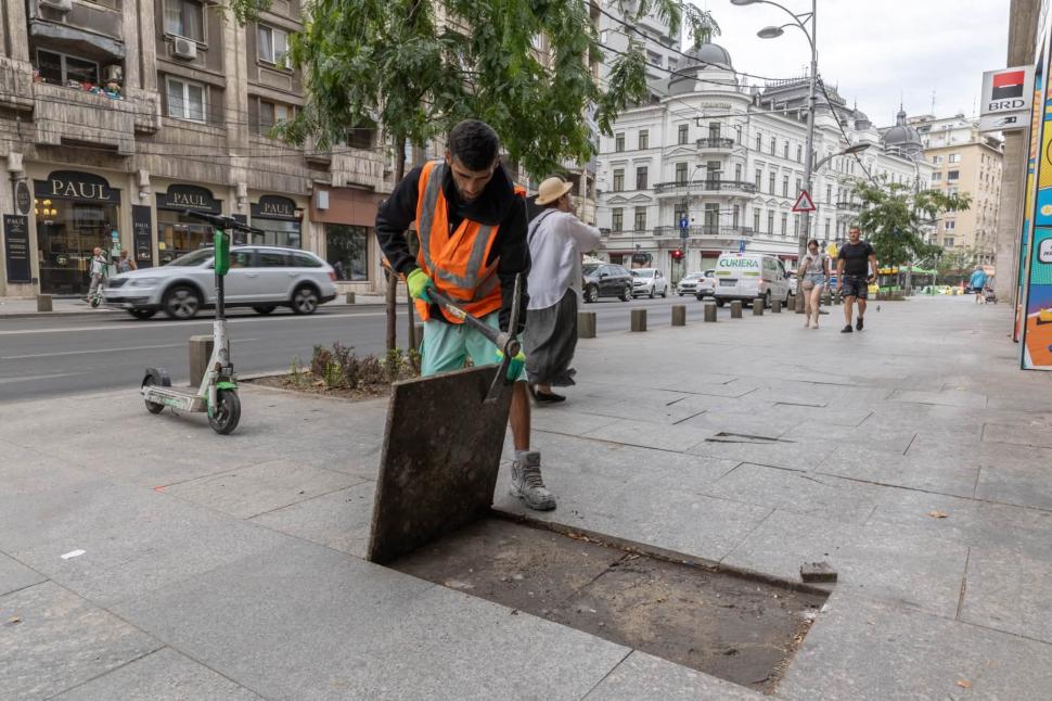 A început reparația trotuarelor pe Bd. Regina Elisabeta. Ciucu: "Pavajul a fost pus prost. Când îl văd fărâmițat, mi se pune pe suflet" 1093326