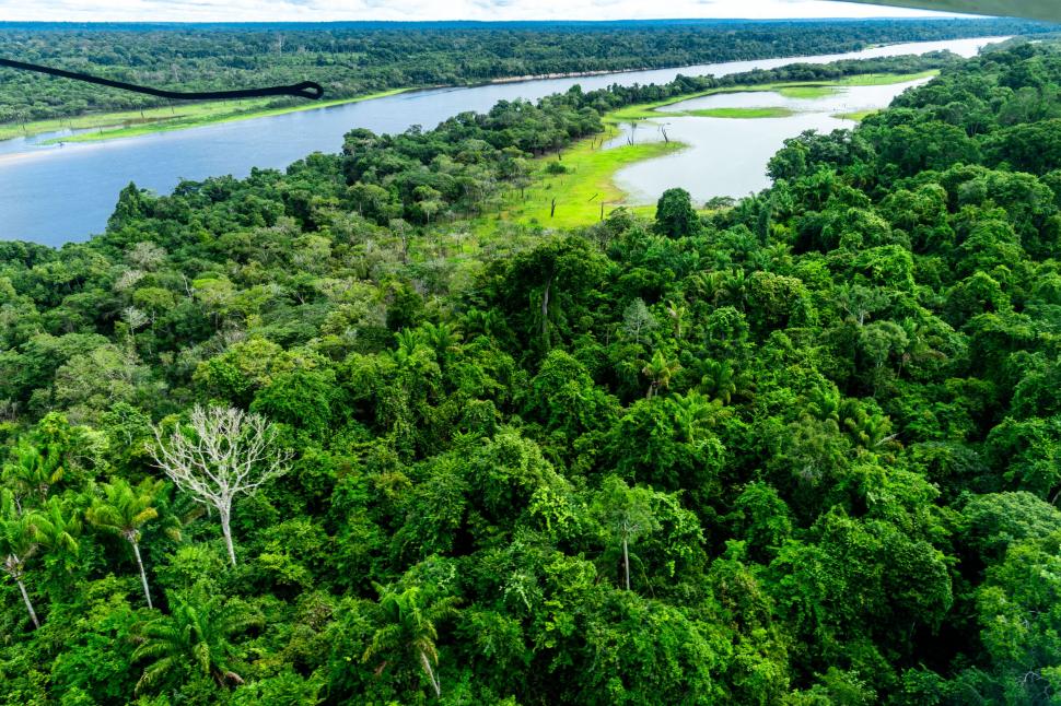 Super El Niño amenință „plămânul planetei”. Ar putea atinge apogeul exact când Amazonul este cel mai vulnerabil 1093417