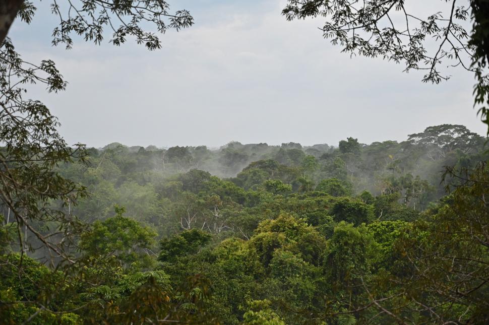 Super El Niño amenință „plămânul planetei”. Ar putea atinge apogeul exact când Amazonul este cel mai vulnerabil 1093422