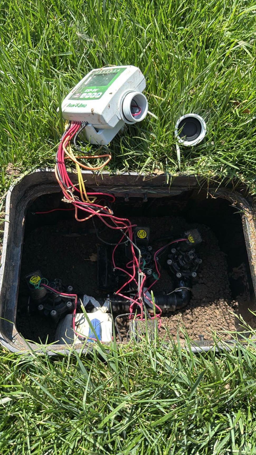 Furt absurd în centrul Capitalei: Hoții au lăsat fără apă plantele de la Sala Palatului. Ciucu: „Atât s-a putut” 1094016