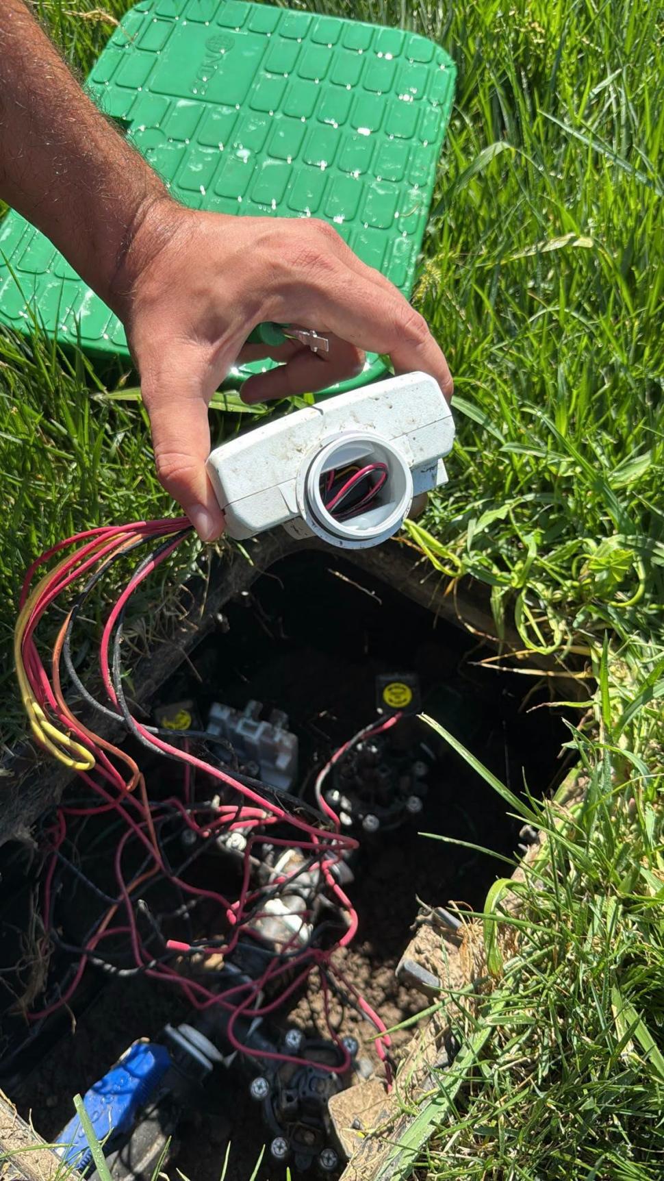 Furt absurd în centrul Capitalei: Hoții au lăsat fără apă plantele de la Sala Palatului. Ciucu: „Atât s-a putut” 1094017