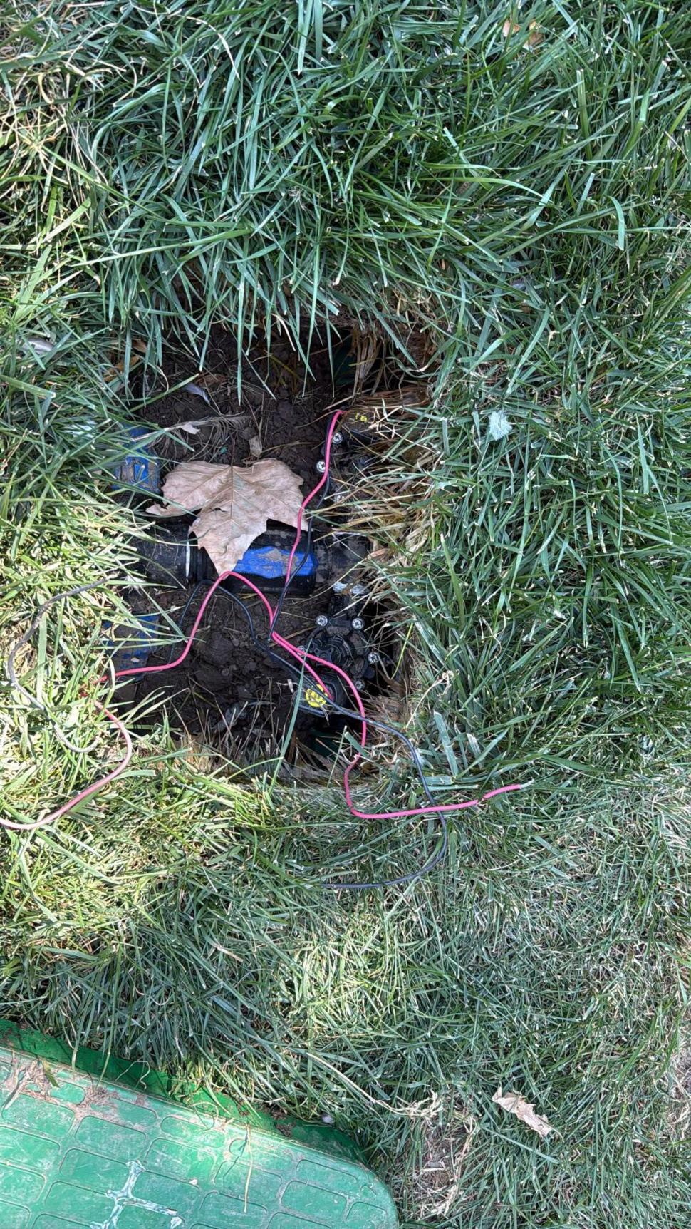Furt absurd în centrul Capitalei: Hoții au lăsat fără apă plantele de la Sala Palatului. Ciucu: „Atât s-a putut” 1094020