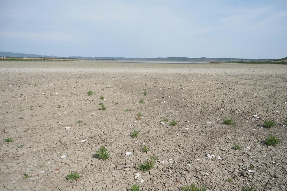Lacul din România care a secat atât de mult încât scoicile au ieșit la suprafață 1093944