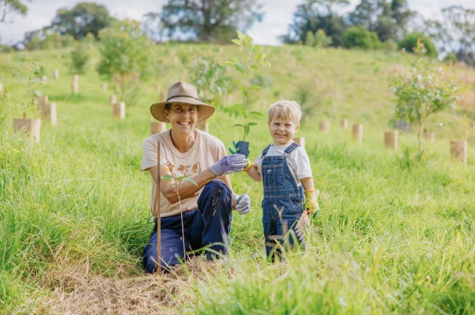 În 2020, doi soți au cumpărat o fermă de vaci în Australia. De atunci, au plantat 34.000 de copaci și refac pădurea pentru urșii koala 1094546