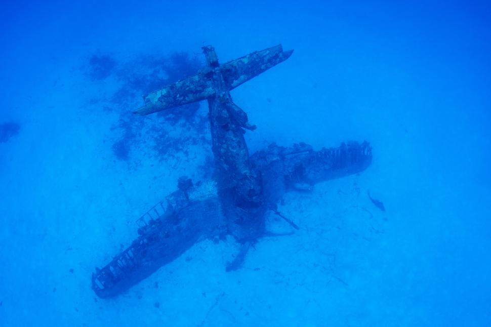 150 de avioane de război zac de 80 de ani pe fundul Pacificului. Oceanul a transformat epavele în ceva inedit. Ce au găsit scafandrii 1095094