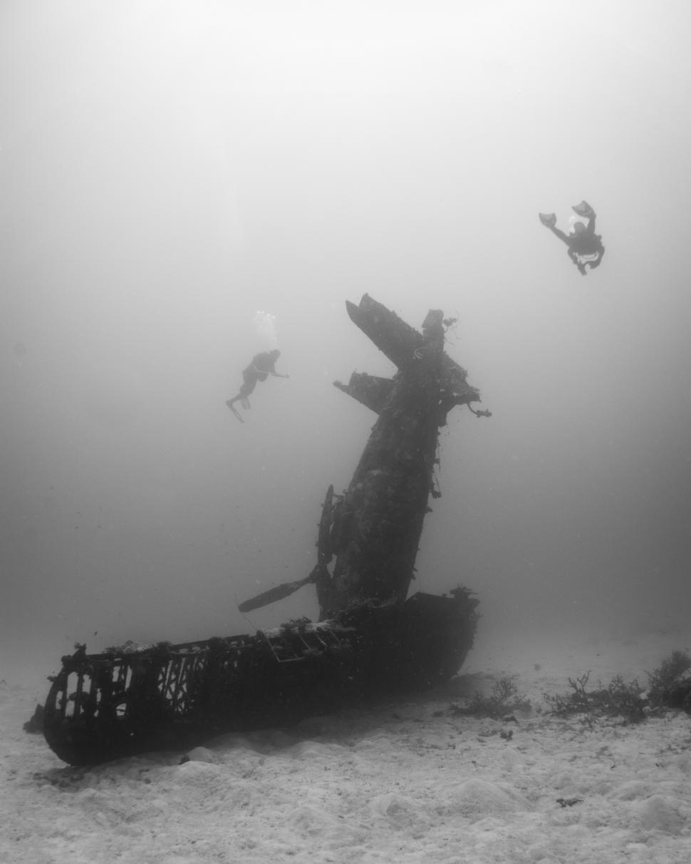150 de avioane de război zac de 80 de ani pe fundul Pacificului. Oceanul a transformat epavele în ceva inedit. Ce au găsit scafandrii 1095096