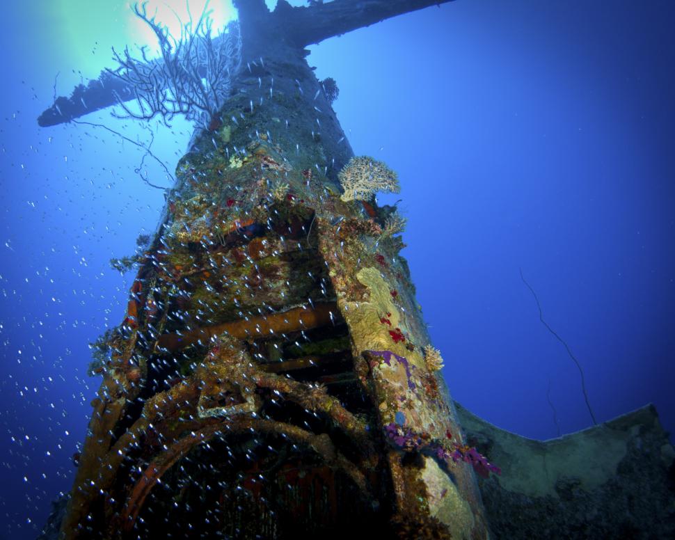 150 de avioane de război zac de 80 de ani pe fundul Pacificului. Oceanul a transformat epavele în ceva inedit. Ce au găsit scafandrii 1095097