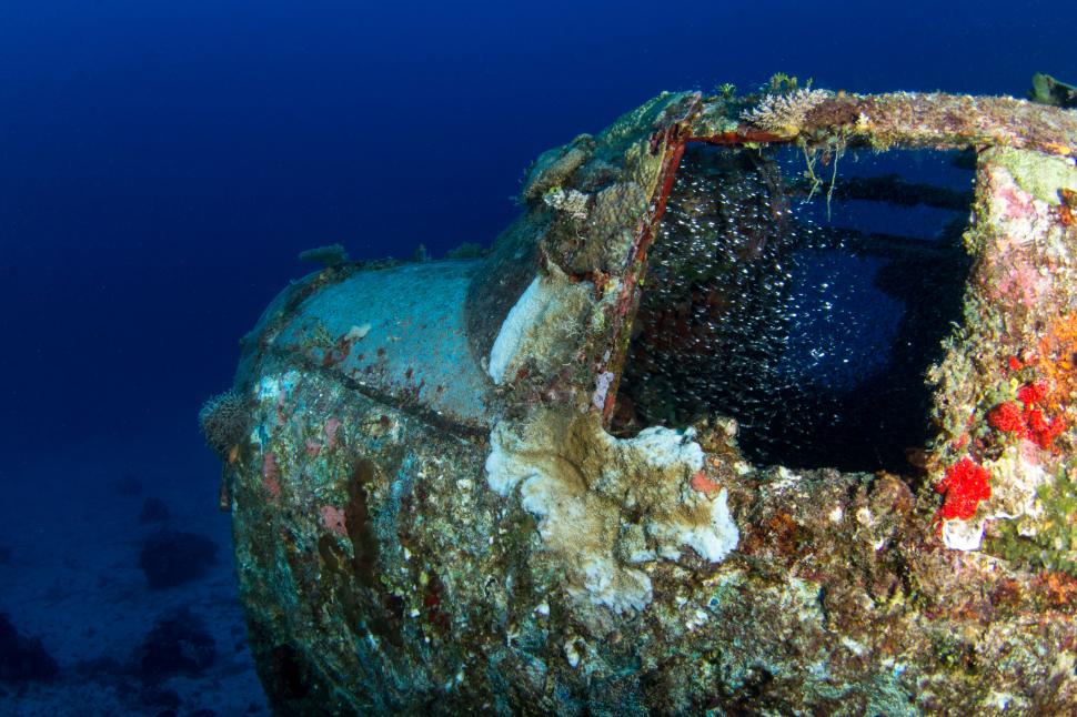 150 de avioane de război zac de 80 de ani pe fundul Pacificului. Oceanul a transformat epavele în ceva inedit. Ce au găsit scafandrii 1095098