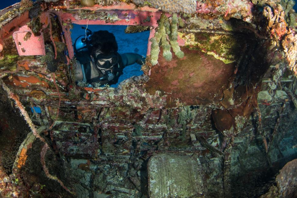 150 de avioane de război zac de 80 de ani pe fundul Pacificului. Oceanul a transformat epavele în ceva inedit. Ce au găsit scafandrii 1095099