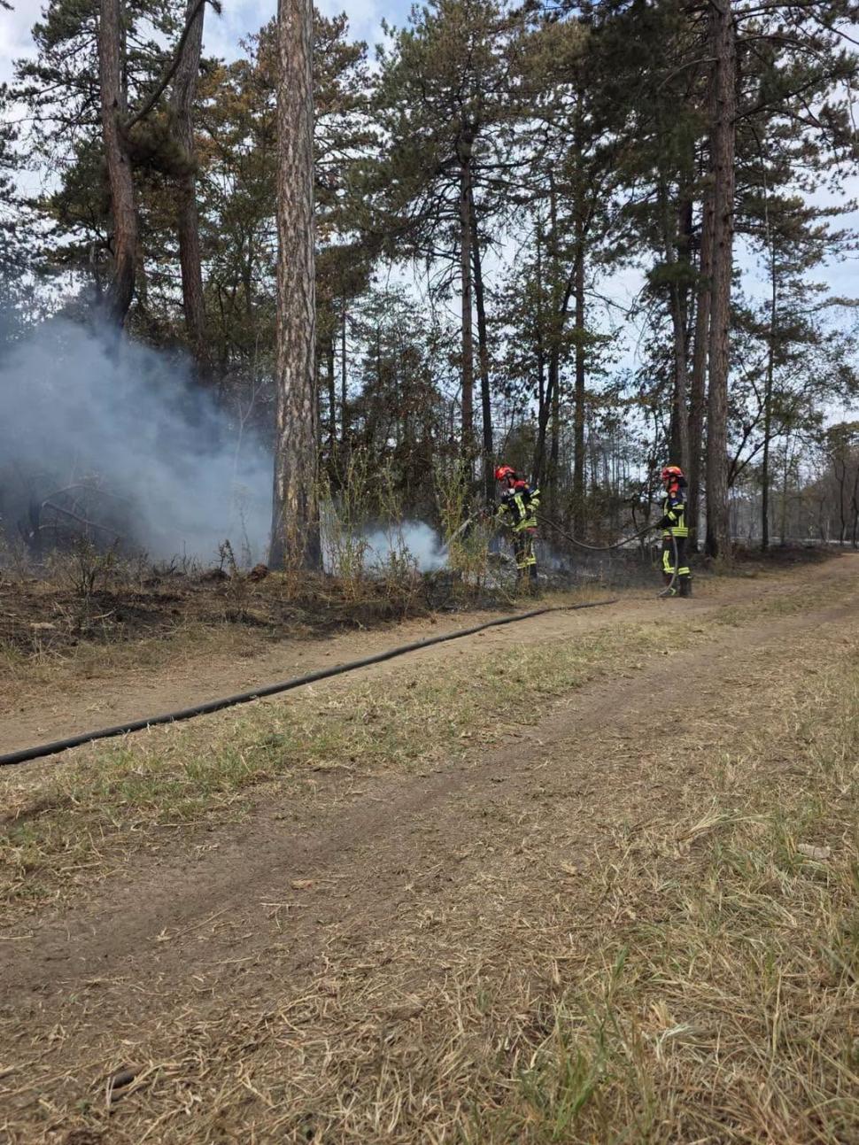 Serbia mulțumește României pentru intervenția pompierilor în incendiile de vegetație: „Serbia nu va uita acest lucru” 1095474