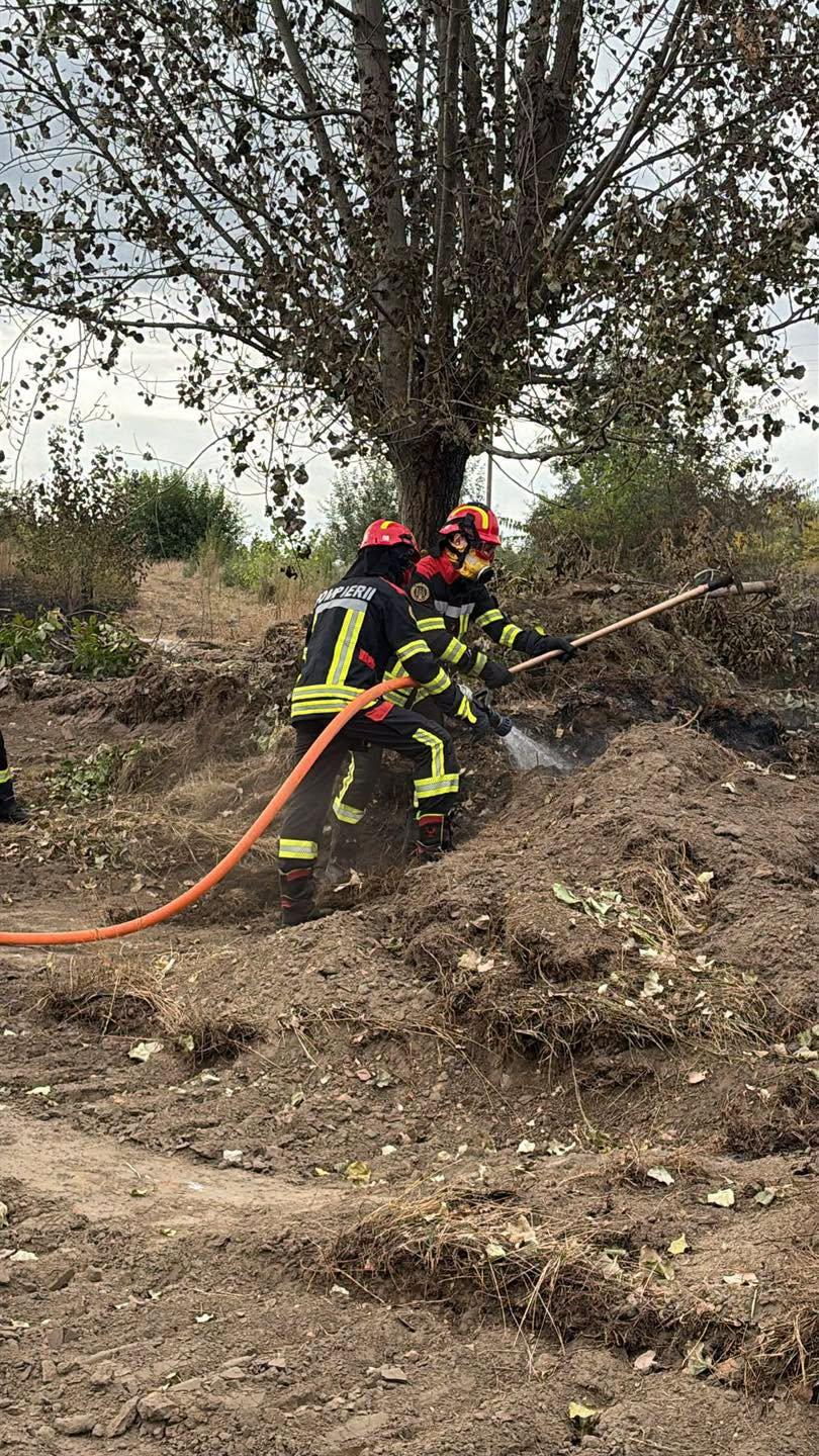 Serbia mulțumește României pentru intervenția pompierilor în incendiile de vegetație: „Serbia nu va uita acest lucru” 1095475
