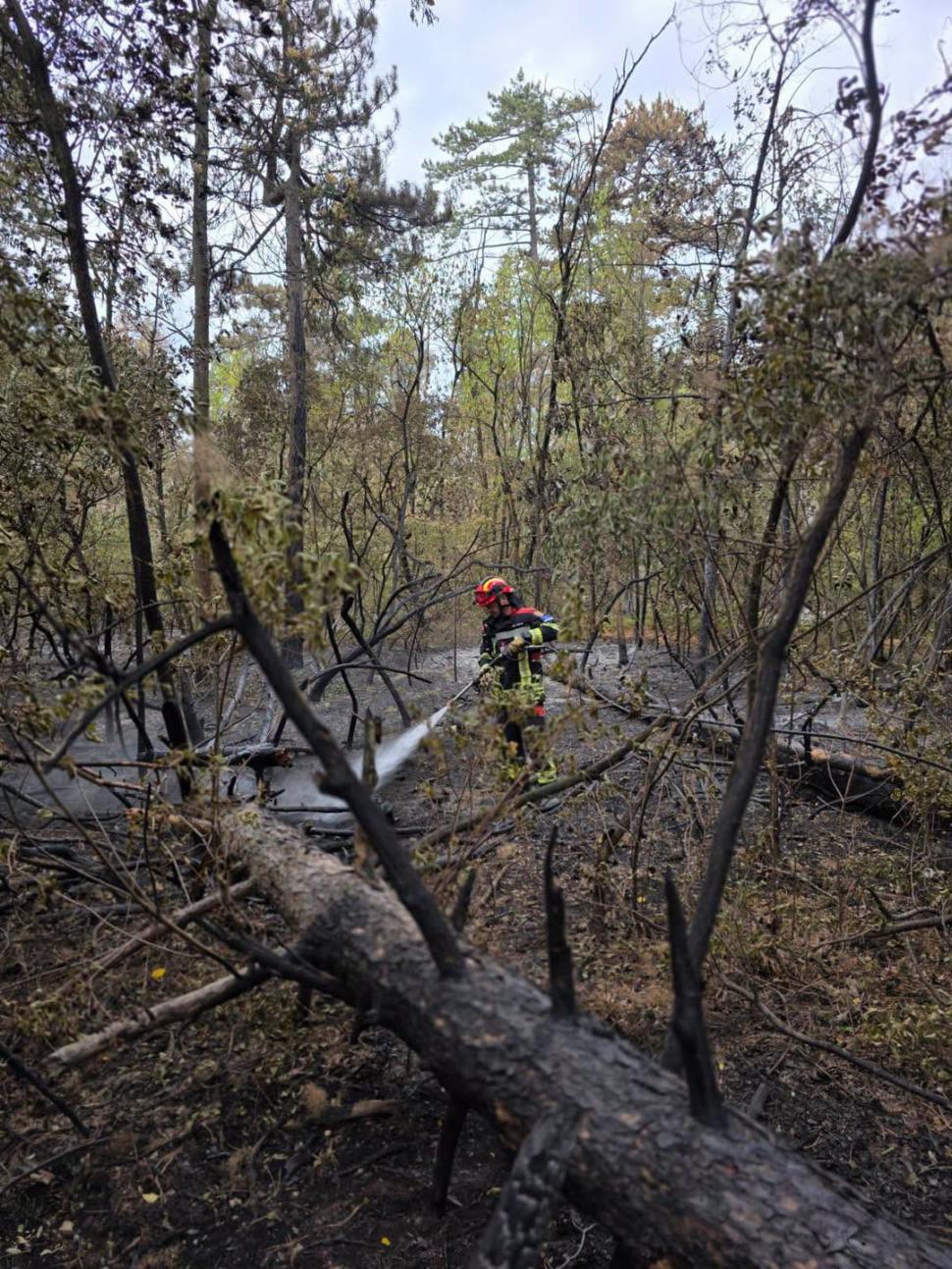 Serbia mulțumește României pentru intervenția pompierilor în incendiile de vegetație: „Serbia nu va uita acest lucru” 1095476